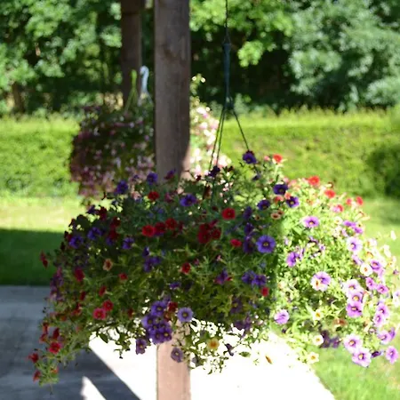 Le Moulin De Lusseau Chef-Boutonne