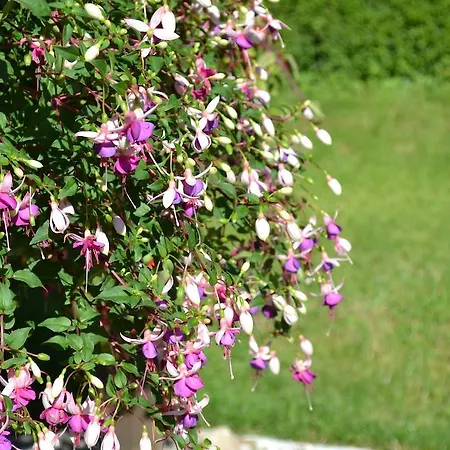 Frühstückspension Le Moulin De Lusseau Chef-Boutonne
