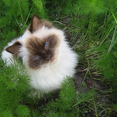 Le Moulin De Lusseau