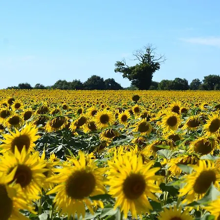 Frühstückspension Le Moulin De Lusseau