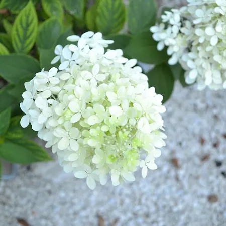 Le Moulin De Lusseau 3*