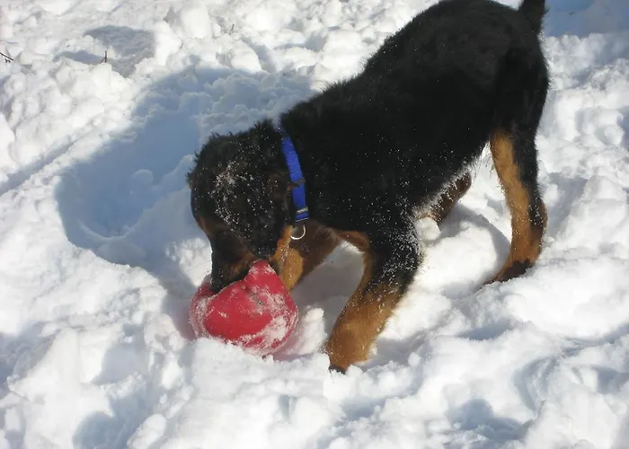 Bed & Breakfast Le Moulin De Lusseau Chef-Boutonne