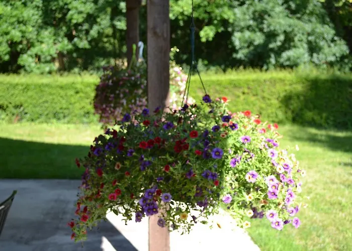 Le Moulin De Lusseau Chef-Boutonne