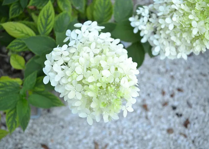 Le Moulin De Lusseau 3*